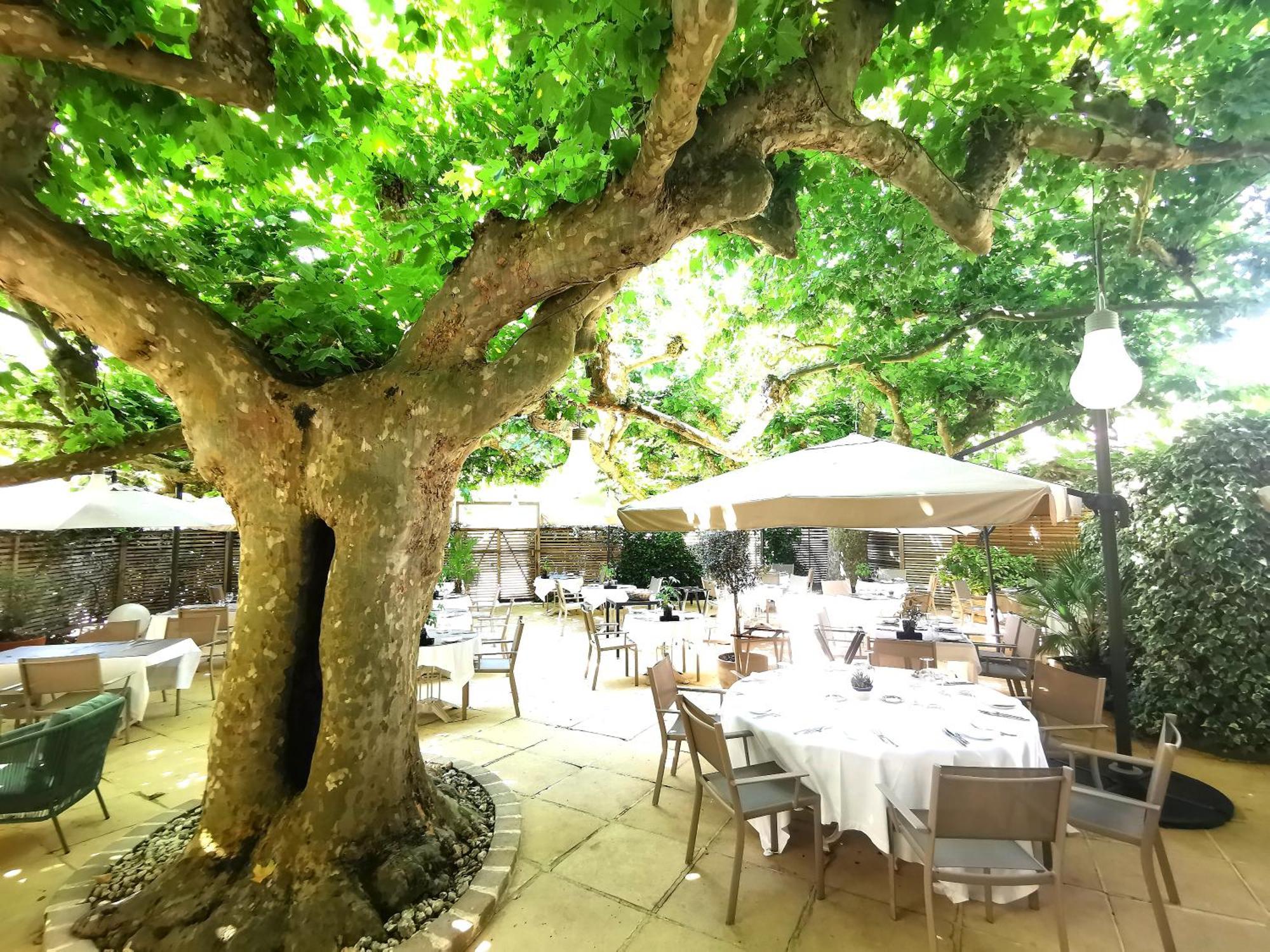 Logis Hotel - Restaurant Maison Claude Darroze Langon  Bagian luar foto