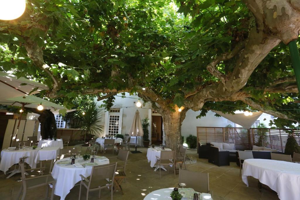 Logis Hotel - Restaurant Maison Claude Darroze Langon  Bagian luar foto
